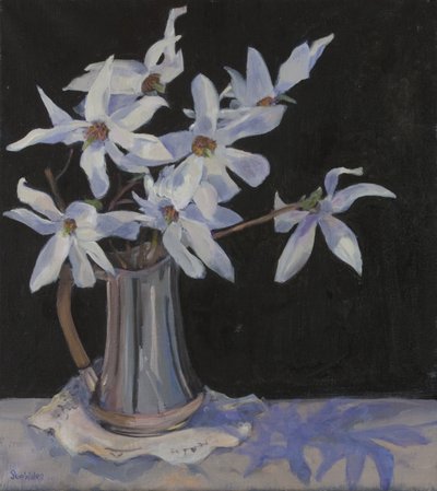 Witte magnolia