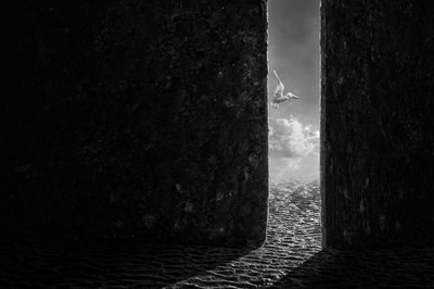  door Sulaiman Almawash