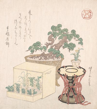 Potted Pine Tree, Drum en Zeven Kruiden Geplant in een Doos, 18e-19e eeuw door Sunayama Gosei