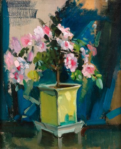 Camellia, ca. 1920 door Sunderland Rollison