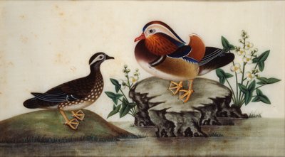 Schilderij - Twee eenden en bloeiende waterplanten bij een vijver, eind 19e eeuw door Sunqua