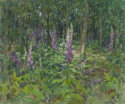Vingerhoedskruid door Susan Ryder