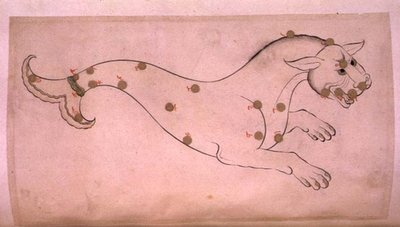 Constellaties: Cetus, de walvis door Suvar Al Kavakib