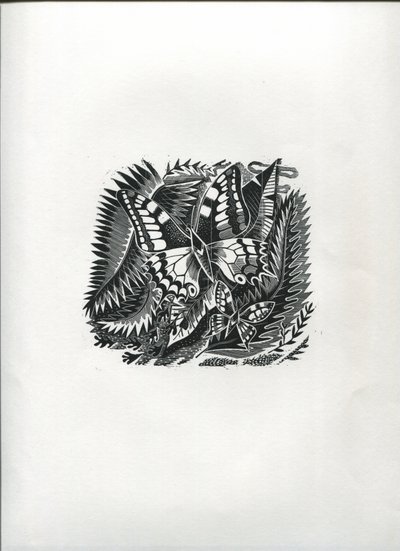 Tropische vlinders door Suzanne Cooper