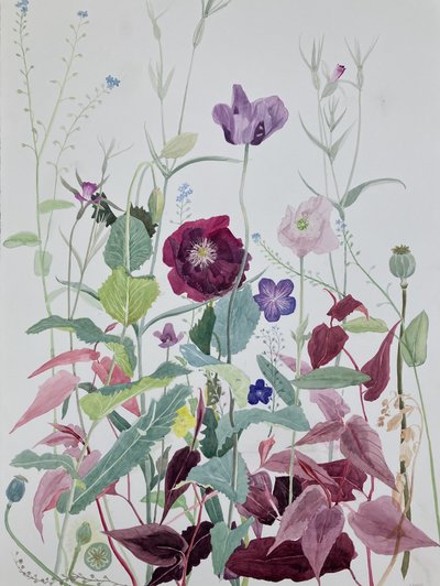 Tuinbloemen, juni, 2025 (aquarel op papier) door Suzy Fasht