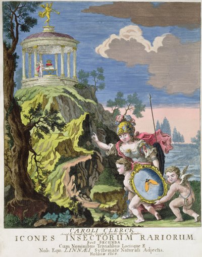 Frontispice van Icones Insectorum Rariorum door C. Clerck, Zweden, 1764 door Swedish School