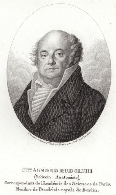 Karl Asmund Rudolphi door Swedish School
