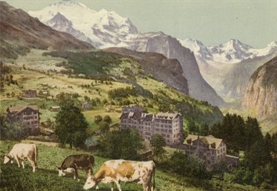 Berner Oberland: Wengen door Swiss Photographer