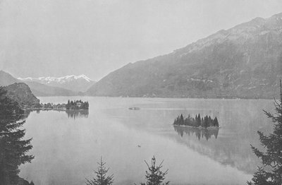 Iseltwald, Meer van Brienz door Swiss Photographer