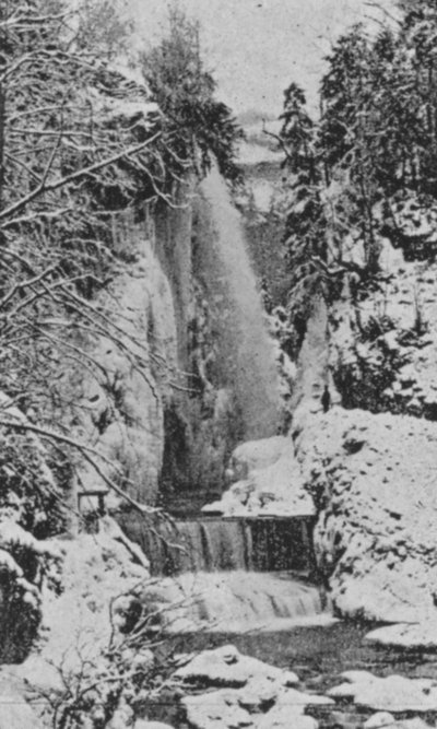 Les Corges du Taubenloch, pres Bienne en hiver (zwart-wit foto) door Swiss Photographer