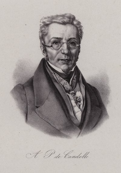 Augustin Pyramus de Candolle, Zwitserse botanicus door Swiss School