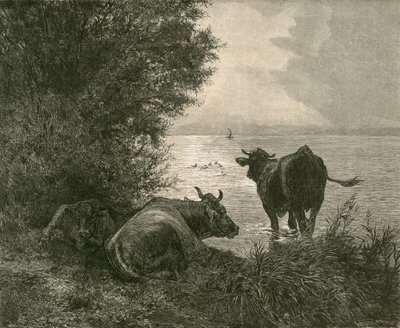 Vroege ochtend op het Meer van Zürich door Swiss School