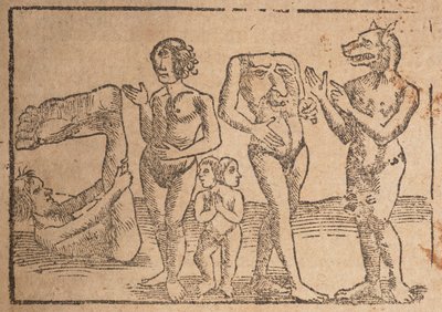 Gravure van een pagina uit "Cosmographey: dat is beschrijving van alle landen" door Swiss School