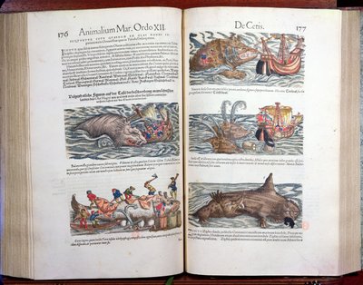Het snijden van een walvis en walvisvangst, uit Appendix historiae quadrupedum, viviparorum et ovipororum door Conrad Gesner (1516-65), 1554 (kleurgravure) door Swiss School