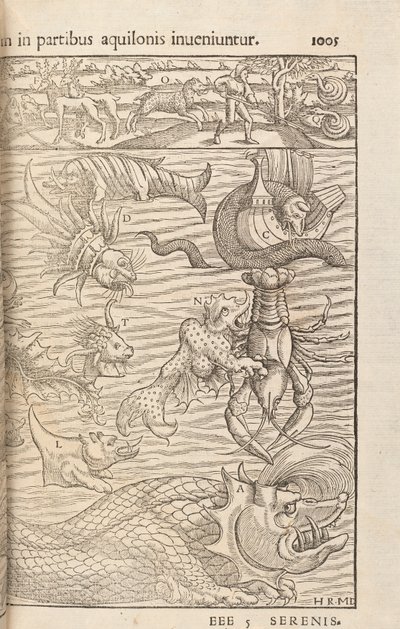 Pagina 1005 uit Cosmographiae Universalis door Sebastian Muenster, Basel, 1572 door Swiss School