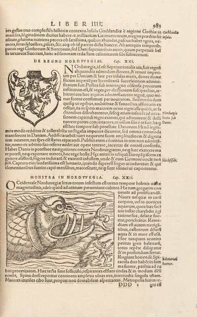 Pagina 983 uit Cosmographiae Universalis door Sebastian Muenster, Basel, 1572 door Swiss School