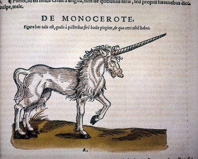 Eenhoorn, illustratie uit 