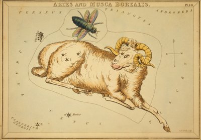 Aries en Musca Borealis, Illustratie uit 