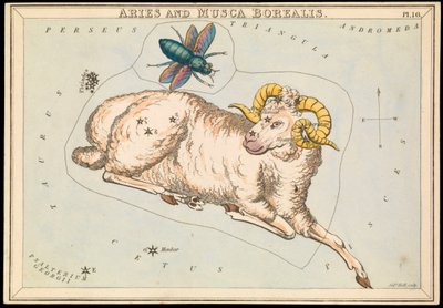 Aries en Musca borealis, c.1825 door Sydney Hall