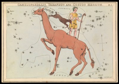 Camelopadalis, Tarandus en Custos Messium, ca. 1825 (kaart, papier, tissue) door Sydney Hall