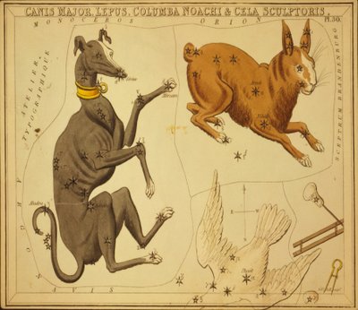 Canis Major, Lepus, Columba Noachi & Cela Sculptoris, Illustratie uit 