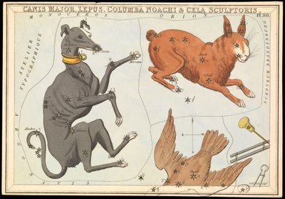 Canis Major. Lepus, Columba Noachi & Cela Sculptoris, ca. 1825 door Sydney Hall