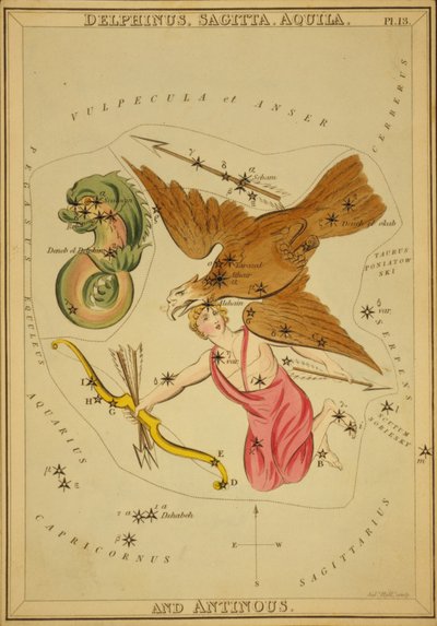 Delphinus, Sagitta, Aquila en Antinous, Illustratie uit 