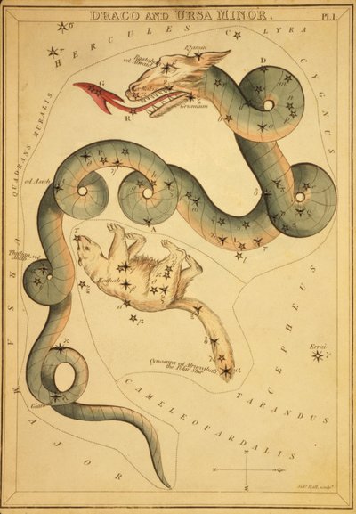 Draco en Ursa Minor, Illustratie uit 