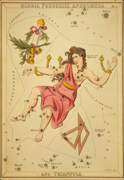 Gloria Frederici, Andromeda, en Triangula, Illustratie uit 