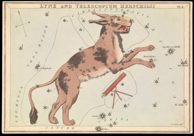 Lynx en Telescopium Hereschilii, c.1825 door Sydney Hall