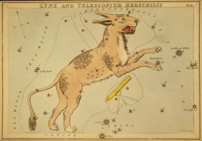 Lynx en Telescopium Herschilii, Illustratie uit 