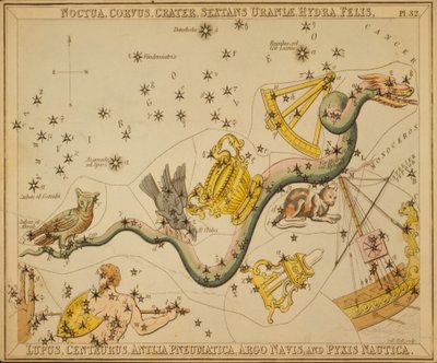 Noctua, Corvus, Crater, Sextans Uraniæ, Hydra, Felis, Lupus, Centaurus, Antlia Pneumatica, Argo Navis, en Pyxis Nautica, Illustratie uit 