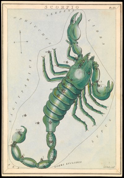 Schorpioen, c.1825 door Sydney Hall