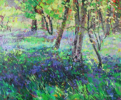 Zonneschijn en Blauwe Klokjes door Sylvia Paul