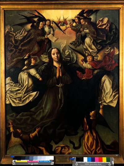 De tenhemelopneming van de Heilige Maagd Maria door Szymon Boguszowicz