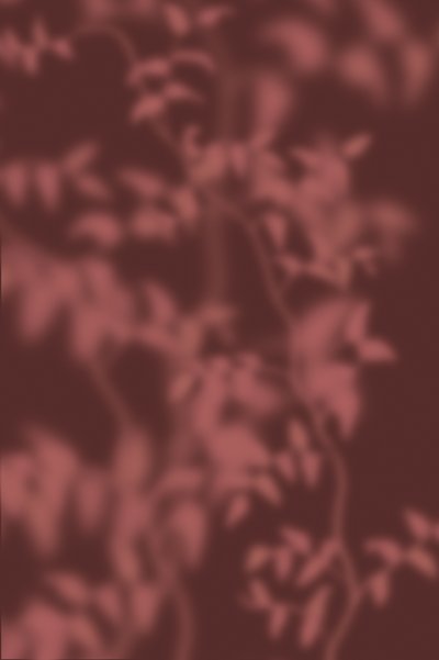  door THE MIUUS STUDIO