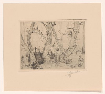 Bosgezicht door T. Sterrenburg (signed by artist)