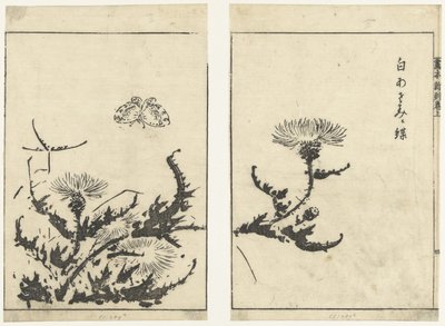 Distels en vlinder door Tachibana Morikuni (attributed to)