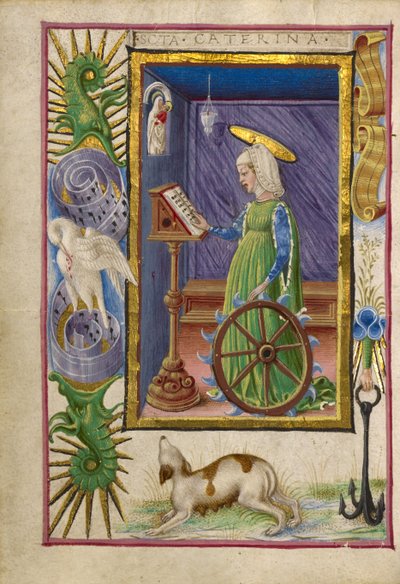 Heilige Catharina van Alexandrië door Taddeo Crivelli