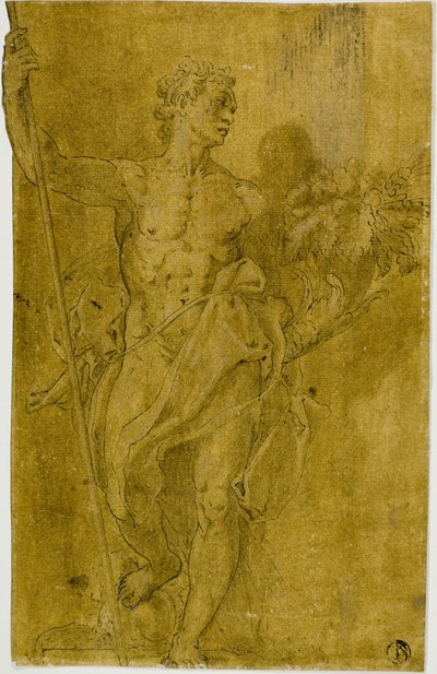 Studie voor mannelijke allegorische figuur door Taddeo Zuccaro