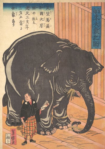 Uitzicht op de grote geïmporteerde olifant, 1863 Bunkyo, 4e maand door Taguchi Yoshimori