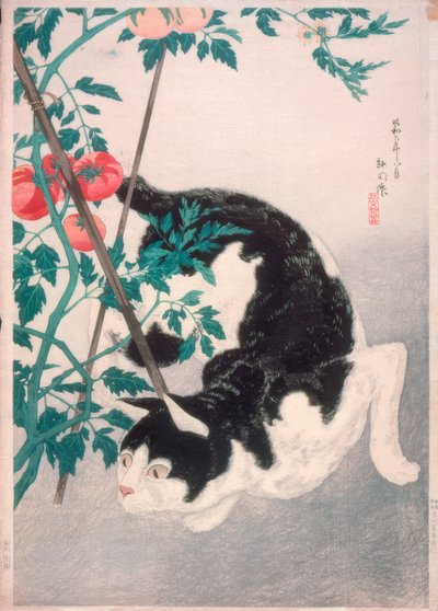 Kat met tomatenplant door Takahashi Hiroaki