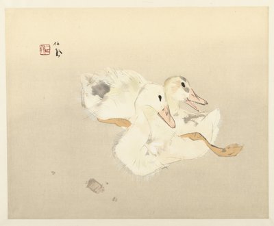 Jonge eenden door Takeuchi Seiho