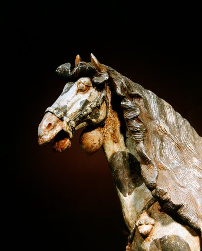 Detail van een paard, laat 7e - begin 8e eeuw door Tang Dynasty Chinese School