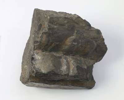 Fragment van een Lotusvoetstuk door Tang Dynasty Chinese School