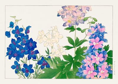 Delphinium bloem van "Seiyou Sokazufu". door Tanigami Konan