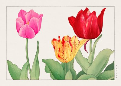 Tulp van "Seiyou Sokazufu". door Tanigami Konan