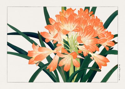 Vintage cliviminiata bloem van "Seiyou Sokazufu". door Tanigami Konan
