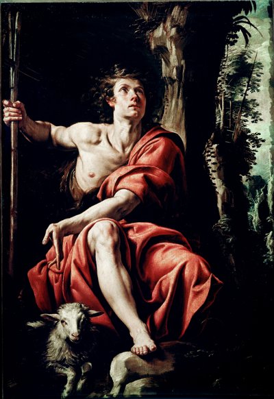 Sint Jan in de woestijn. Schilderij door Tanzio da Varallo (Antonio d