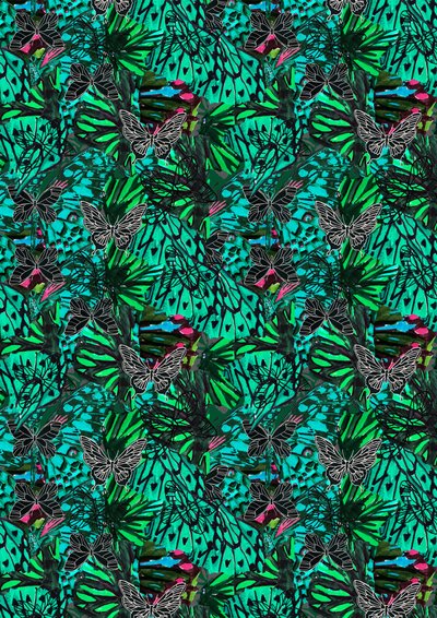 Papillon door Tara Whitehead